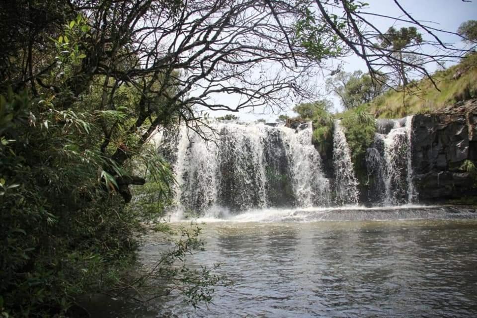 Lodge Recanto Da Cascata - Liquidambar *