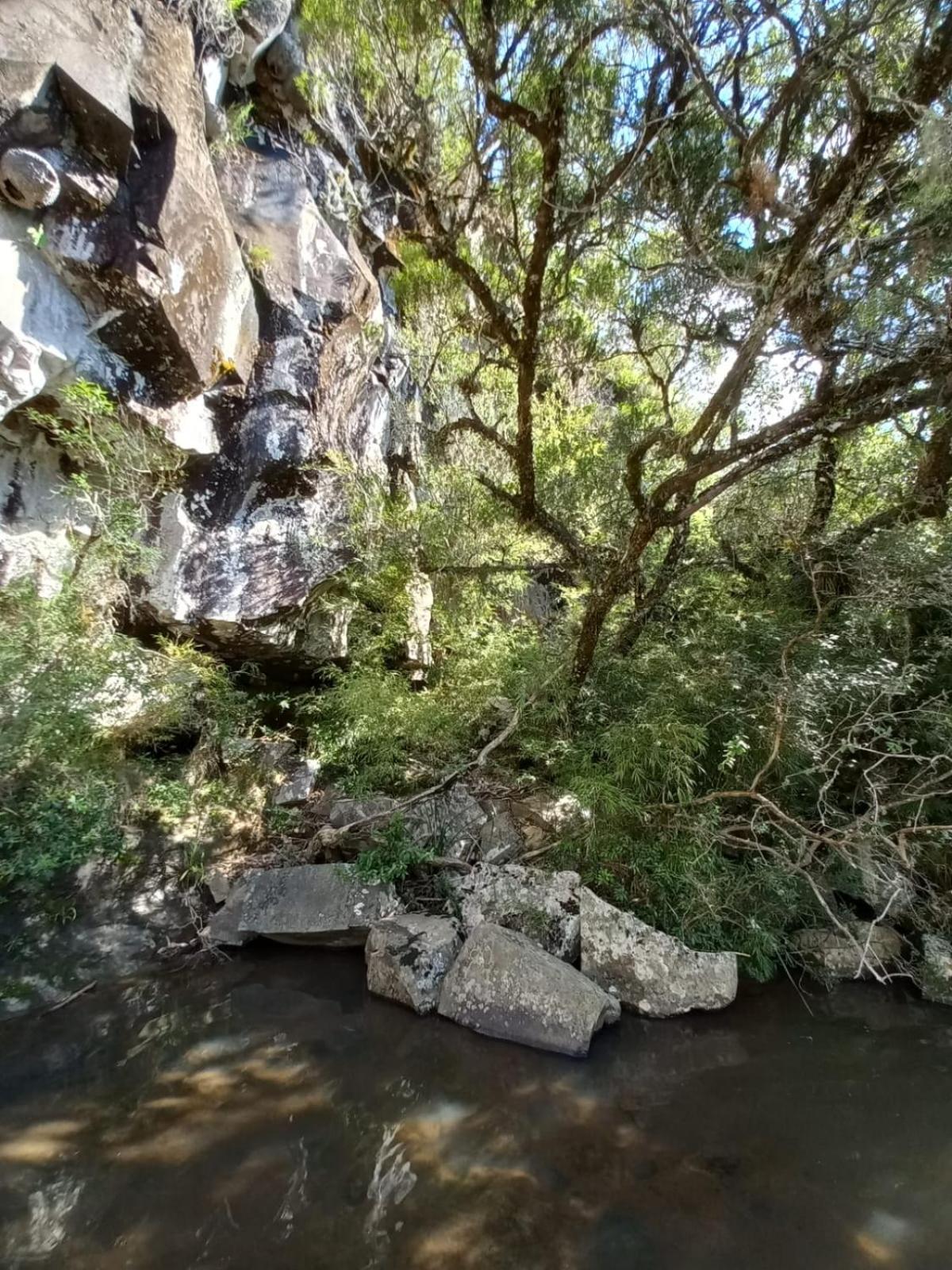 Alojamento de Turismo Selvagem Recanto Da Cascata - Liquidambar São Joaquim