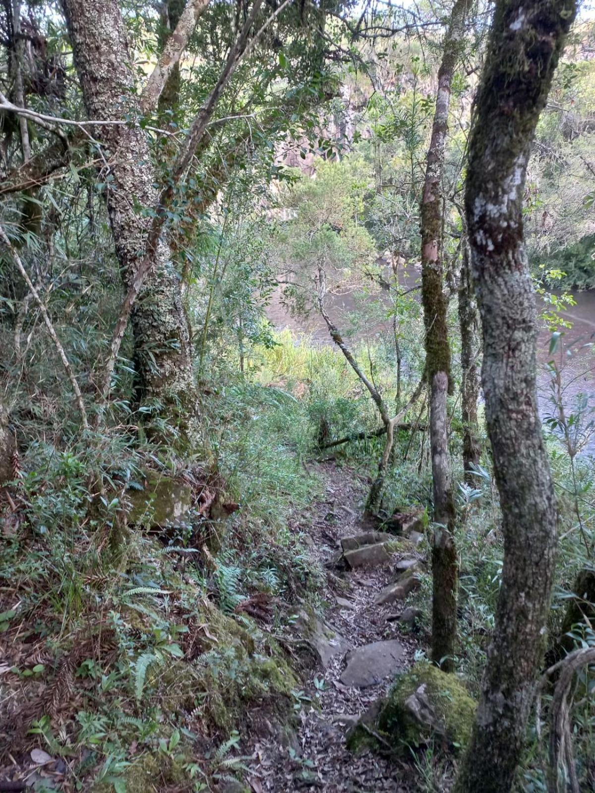 Recanto Da Cascata - Liquidambar Alojamento de Turismo Selvagem *